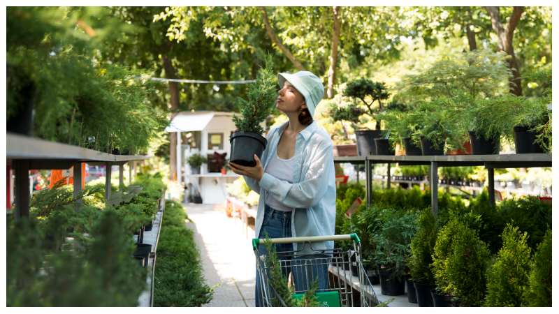 How to Blend Functionality and Beauty in Your Landscape Design