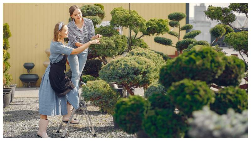 10 Beautiful Trees to Enhance Your Home’s Curb Appeal